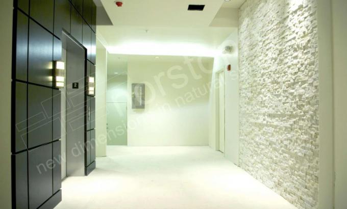 Natural Dry Stacked Stone Veneer used around an Elevator