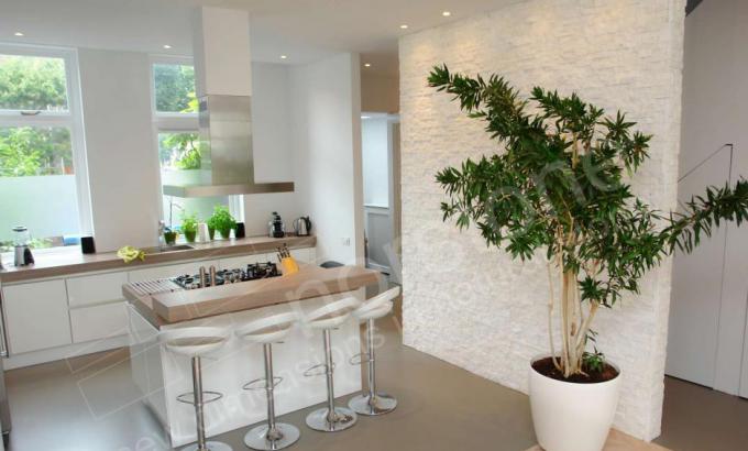 Natural Stone Wall in Modern Kitchen